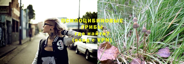 Альфа ПВП Надым