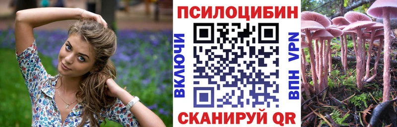 Псилоцибиновые грибы мицелий  Купить закладки  Долгопрудный 